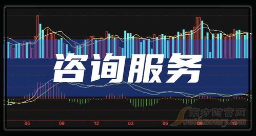 2025年中国咨询服务行业前景与看好公司分析